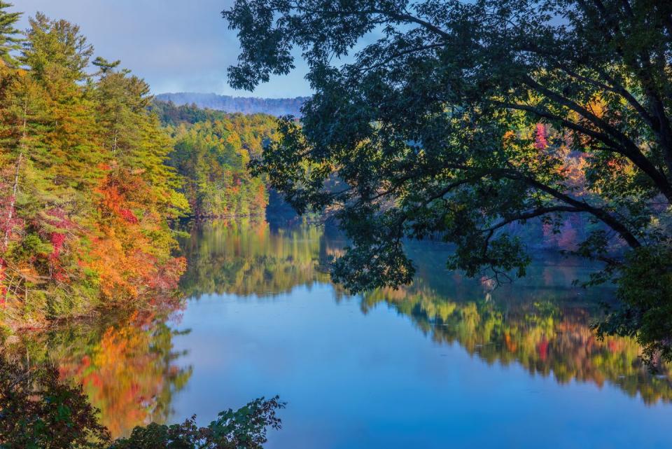 reflections of fall colors,scenic view of lake by trees against sky during autumn,robbinsville,north carolina,united states,usa