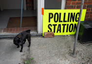 <p>A dog is seen close to the polling station sing in Hastings, Britain June 8, 2017. (Photo: Peter Nicholls/Reuters) </p>