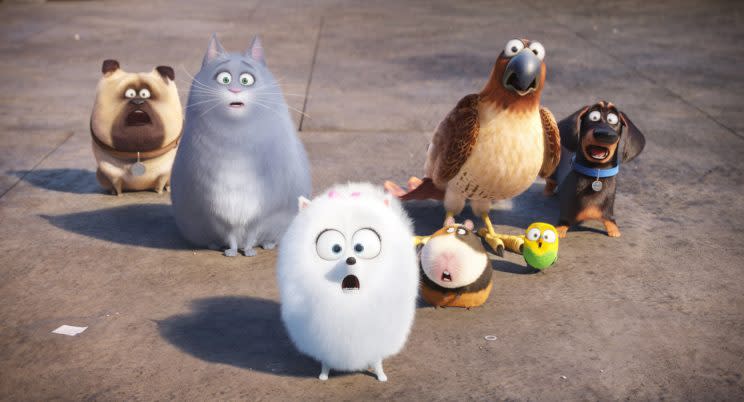 <em>The Secret Life of Pets</em>. (Image: Illumination Entertainment)