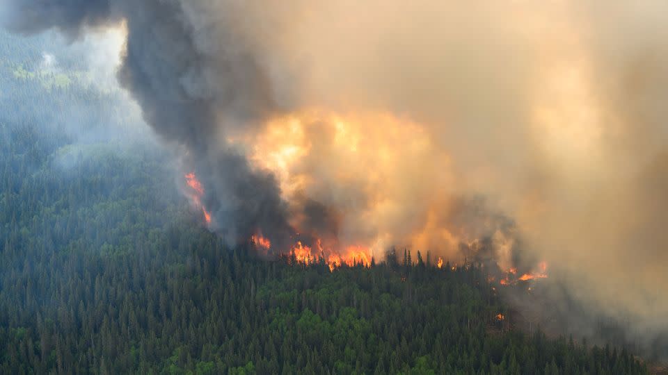 Flames spread through the forest near Mistissini, Quebec, Canada, in June 2023. - Cpl Marc-Andre Leclerc/Canadian Forces via Reuters