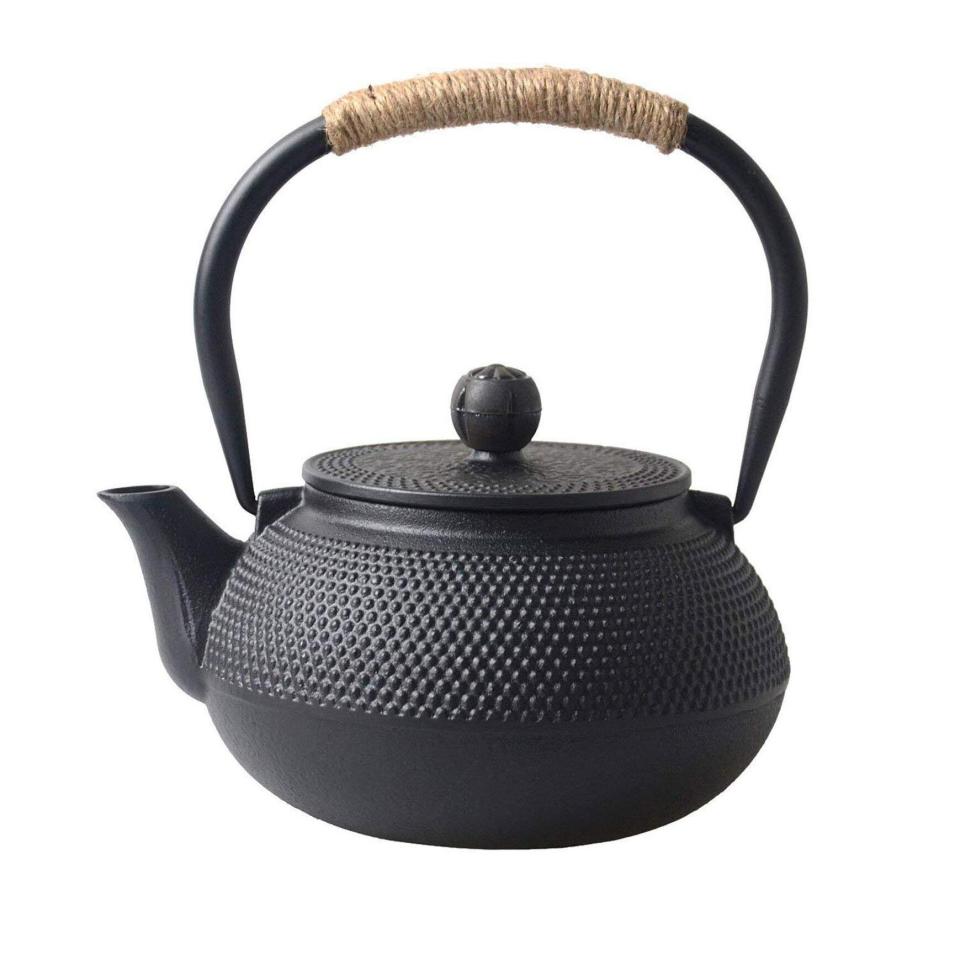 Hwagui Japanese Cast Iron Teapot with Infuser