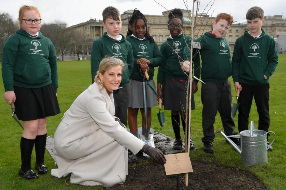 The Countess of Wessex joined primary school pupils to plant a Jubilee tree in the Buckingham Palace garden in March to mark the end of the official first season of the Queen’s Green Canopy (Toby Melville/PA) (PA Wire)