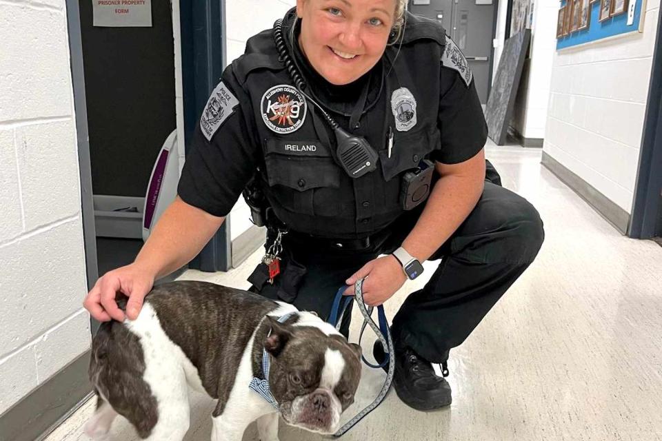 <p>Allegheny County Police Department</p> A French bulldog was abandoned by its owner at a Pittsburgh airport, said authorities.