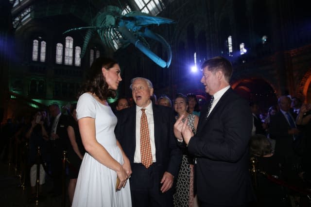 Hintze Hall reopening at the Natural History Museum