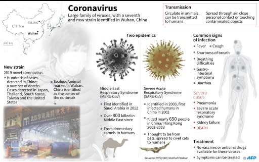 Factfile on the coronavirus family, which circulate in animals and can be transmitted to humans. A new strain of this virus has been identified in Wuhan, China
