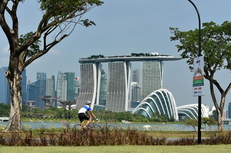 Indonesian police say they have foiled a plot to launch a rocket attack on the upmarket Singapore waterfront district, Marina Bay