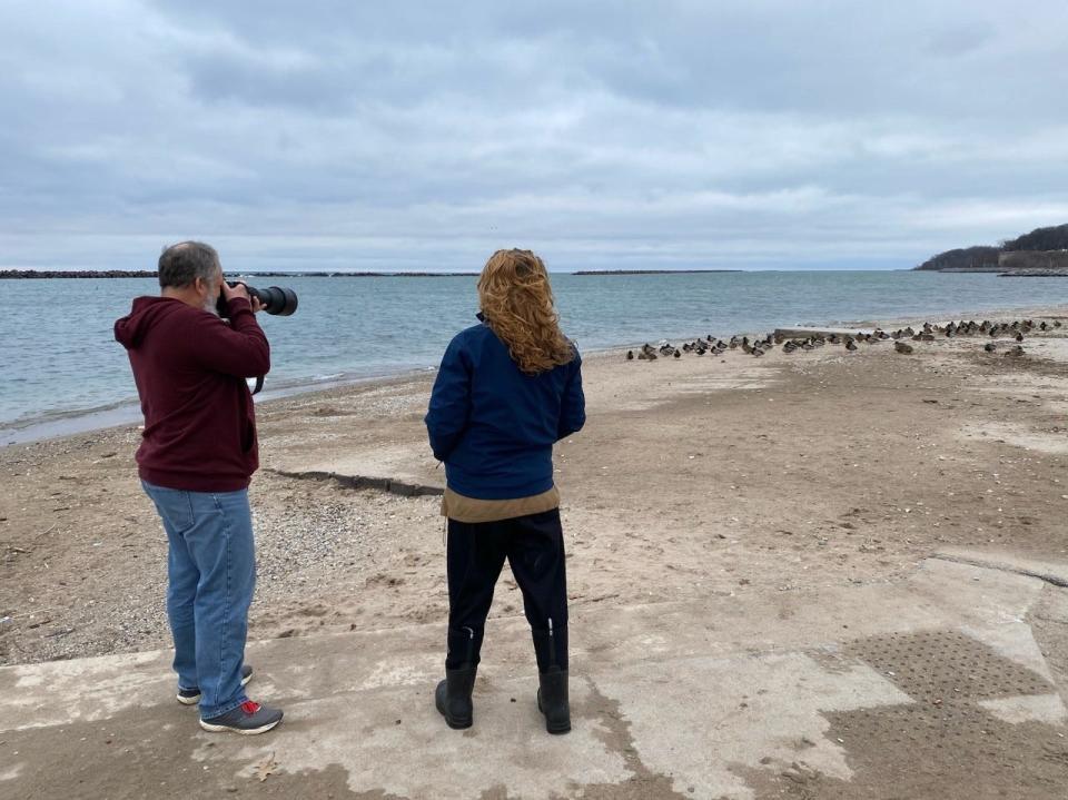 On Jan. 12, 2022, Bob Widor of Milwaukee and Emma Barth of Bay View were hoping to see a Mandarin duck that's been hanging out around the South Shore Yacht Club recently. The duck is native to eastern Asia.