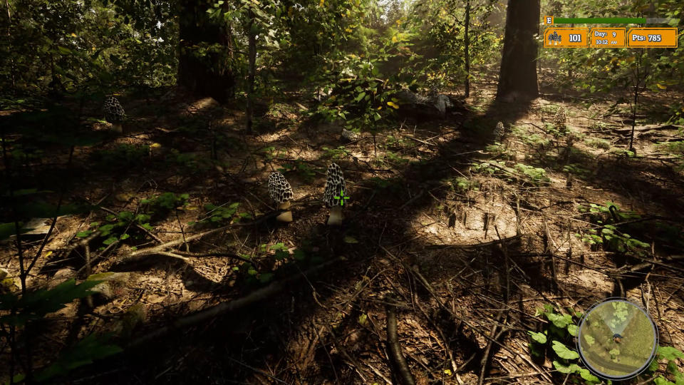 Morels: The Hunt 2 screenshot