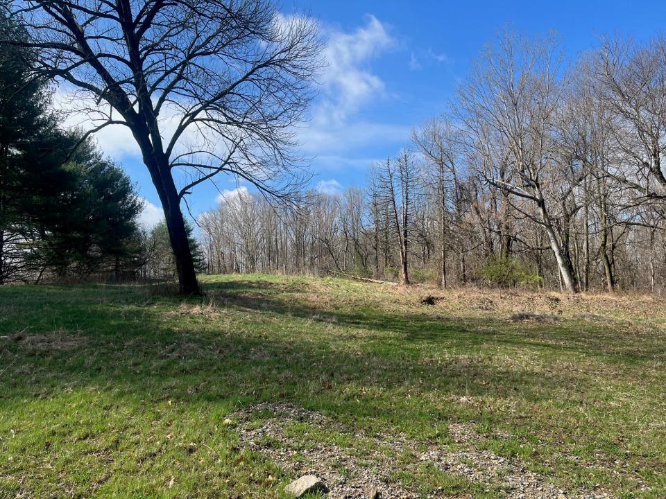 Developer Pettinaro Management plans to donate more than 30 acres of land in Mill Creek as a county-owned park, just west of Hercules Road at Lancaster Pike. The land was previously approved for large estate homes.