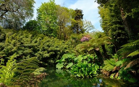 Lost Gardens of Heligan - Credit: Martin Siepmann/Westend61