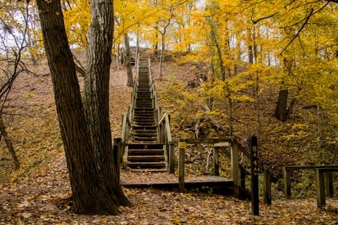 There are 50 miles of trails - Credit: GETTY