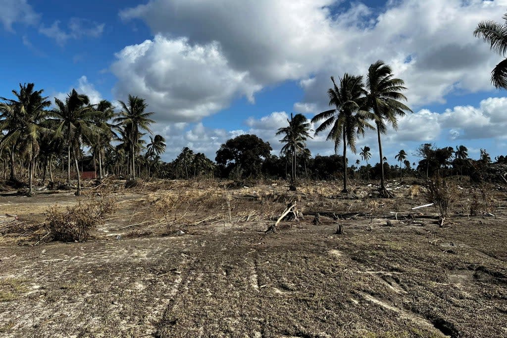 Aftermath of Tonga’s tsunami on January 15  (Courtesy of Viliami Uasike Latu/)