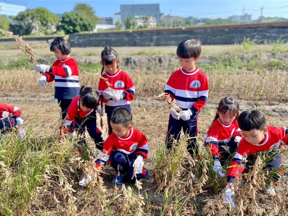台中市農會邀請可愛的小朋友參加活動，象徵著國產大豆田間生命的蓬勃與韌性！圖／業者提供