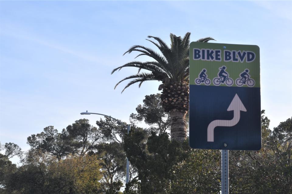 An RTA-funded bicycle boulevard on Treat Avenue in Tucson. Jan. 26, 2024