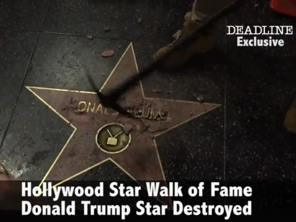 trump star