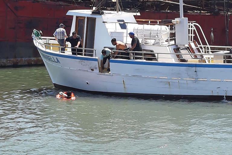 Prefectura rescata a un perro del agua en Mar del Plata