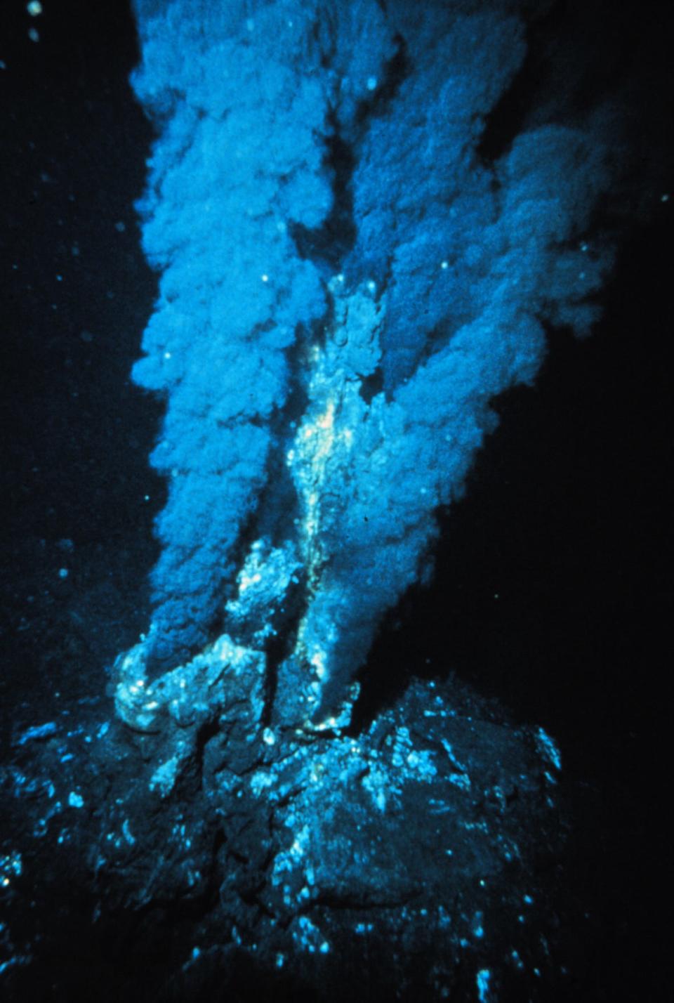 hydrothermal vent noaa oar nurp