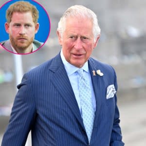 Why Prince Charles Cant Deal With Prince Harrys Criticism