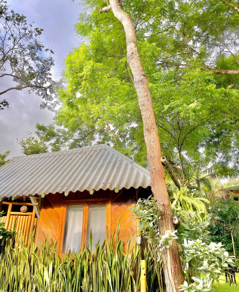 Outdoor view of wood and bamboo cabin with metal roof.