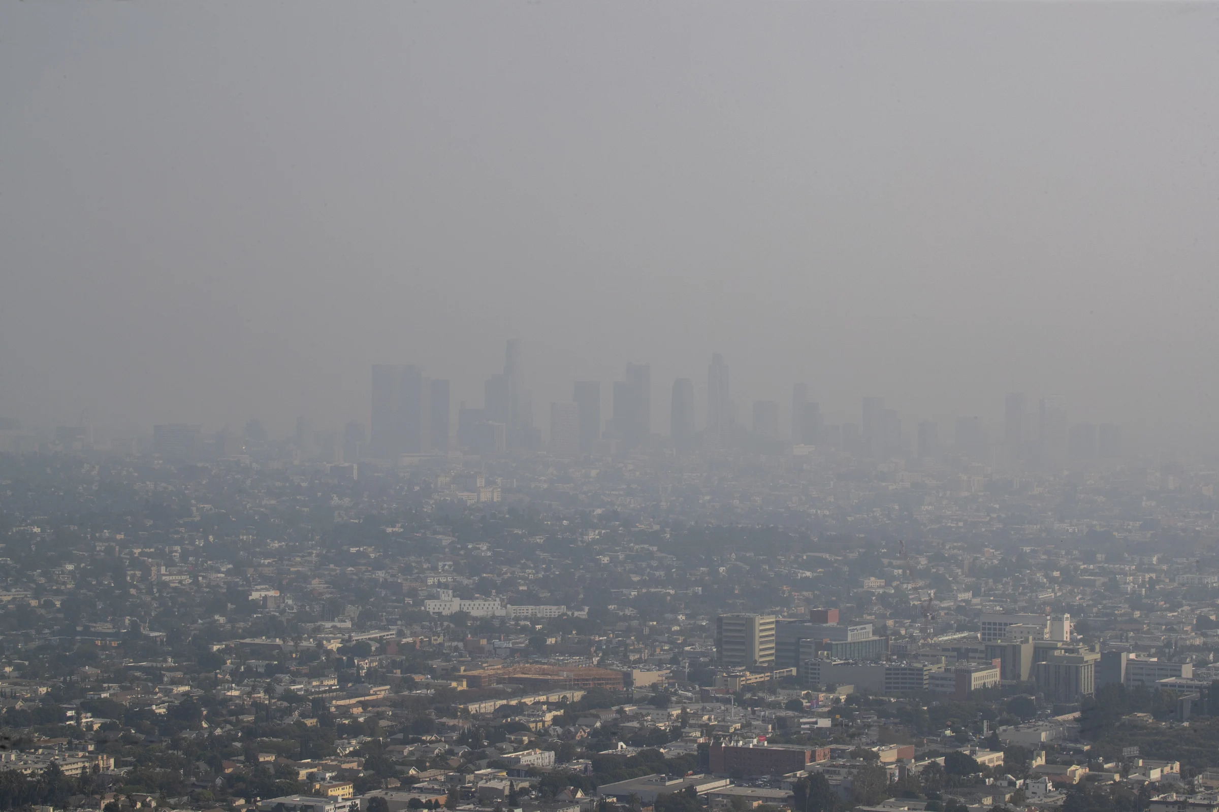 The view of downtown Los Angeles skyline is obscured by smoke, ash and smog as seen from the Griffith Observatory Monday, Sept. 14, 2020. / Credit: Allen J. Schaben / Los Angeles Times via Getty Images