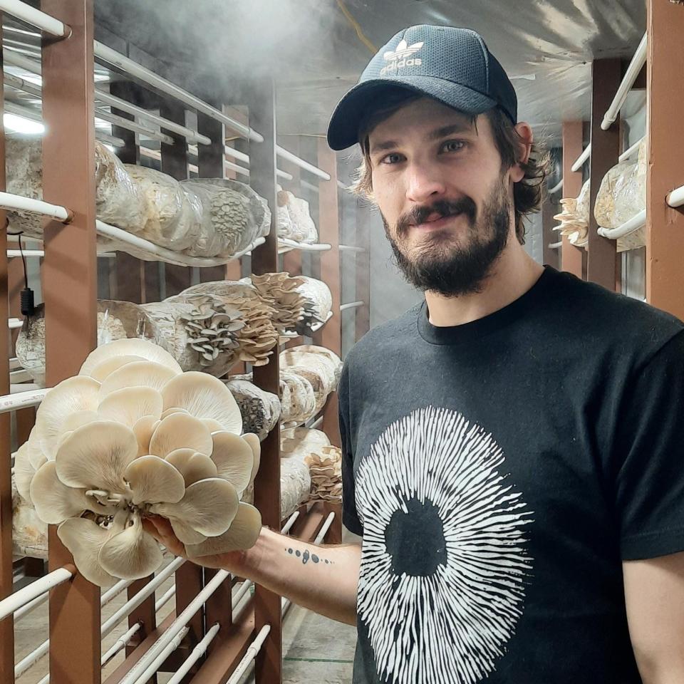 Josiah Patterson, owner of Extraterrestrial Fungi, with a cluster of his oyster mushrooms.