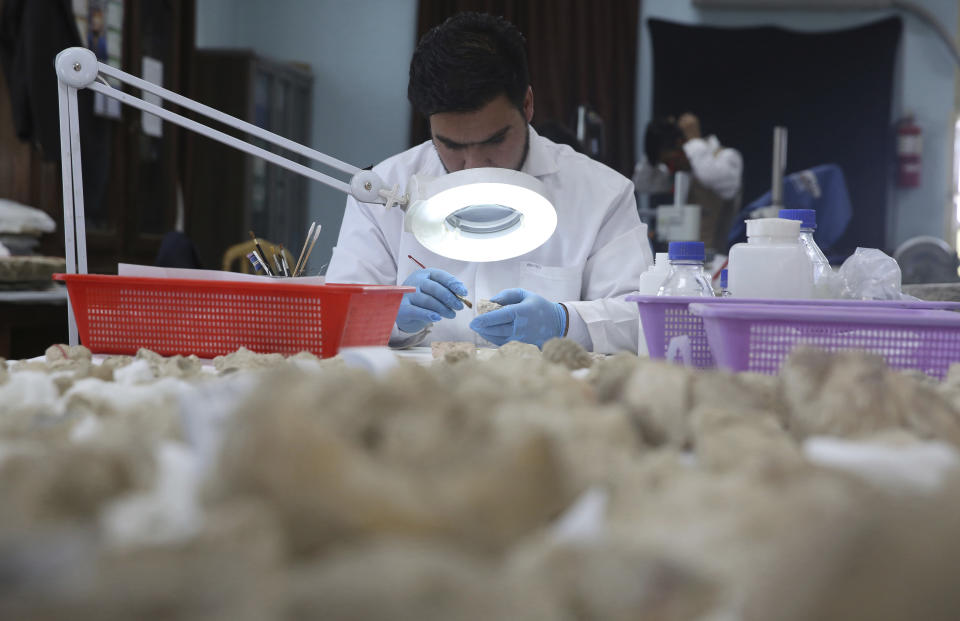 In this Saturday, Aug. 17, 2019 photo, conservator M. Ghufran Hanifi works on a piece of a small statue that was damaged by the Taliban because they were judged to be against Islam, at the National Museum of Afghanistan in Kabul, Afghanistan. What the Taliban fighters left behind is laid out on tables at the National Museum of Afghanistan, 18 years later. Museum workers in Kabul have been trying to fit them together again as a nervous country waits for the Taliban and the U.S. to reach a deal on ending America’s longest war. (AP Photo/Rafiq Maqbool)