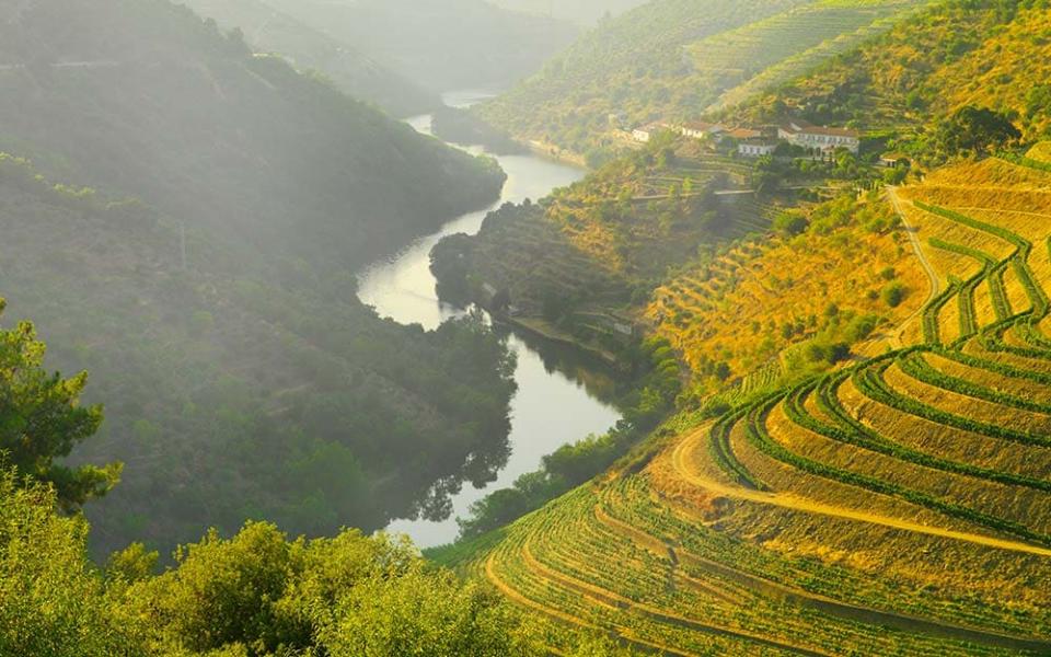 Next year could be perfect for joining the riverboats that cruise though the dramatic gorges of the Douro Valley - SHAUN EGAN