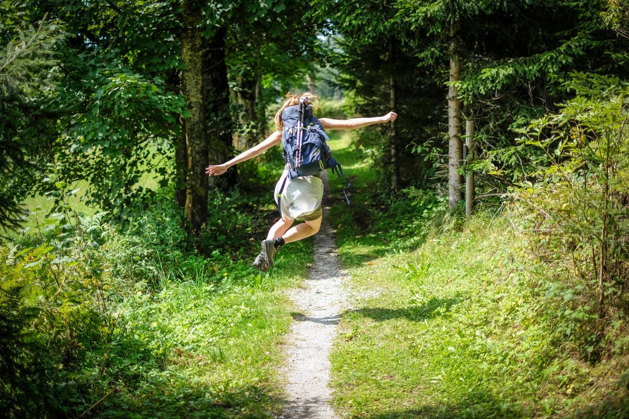 Ab in die Natur – aber Vorsicht vor Zecken! (Symbolbild: Getty Images)