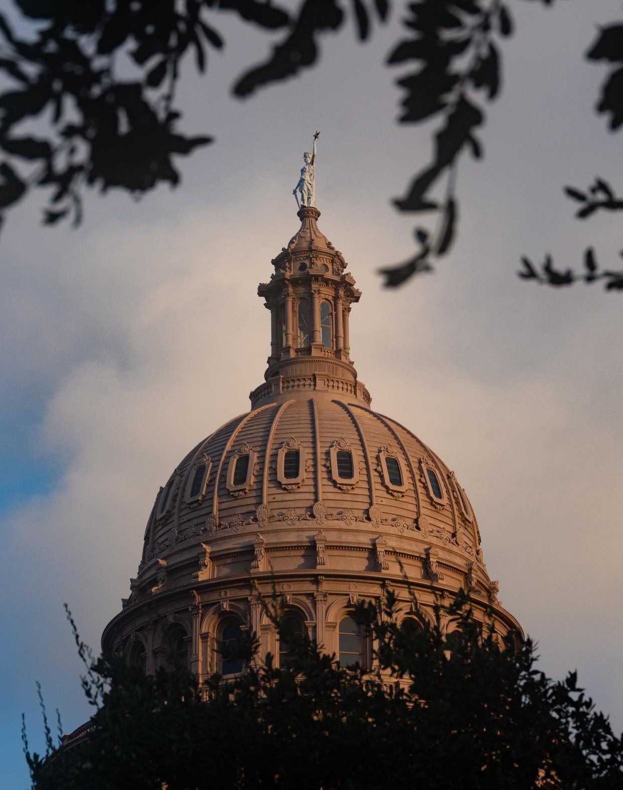 When Texas lawmakers reconvene at the Capitol on Jan. 14, they will focus on higher education issues ranging from diversity, equity and inclusion to affordability and accessibility.