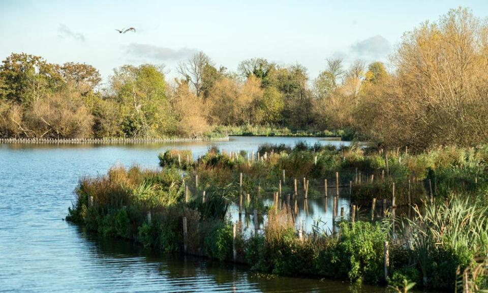 An autumnal scene at the Walthamstow Wetlands in north-east London.