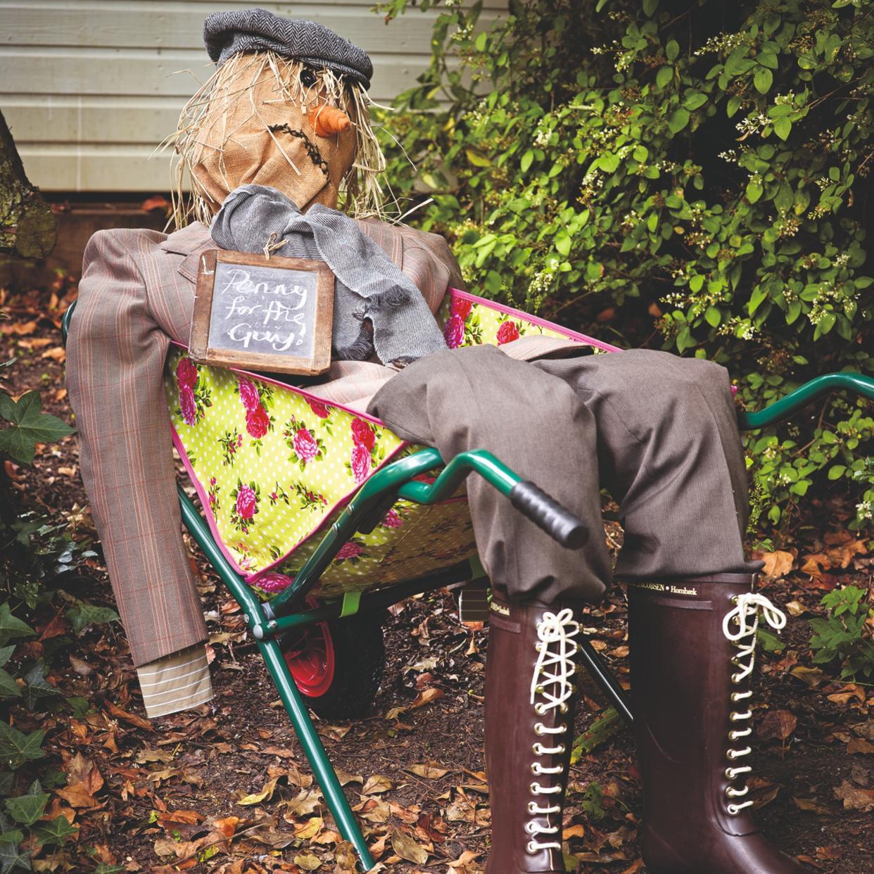  A scarecrow in a wheelbarrow. 