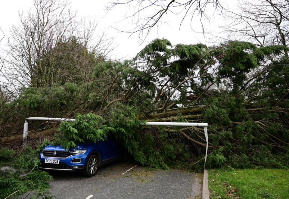 A car, crushed by a fallen tree and lamppost, is pictured in Birkenhead, north west England (AFP via Getty Images)