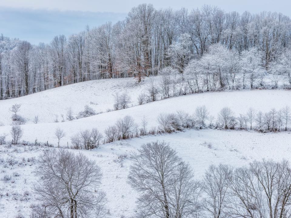 Snow on a frigid December day in a patch of woods and fields in West Virginia.