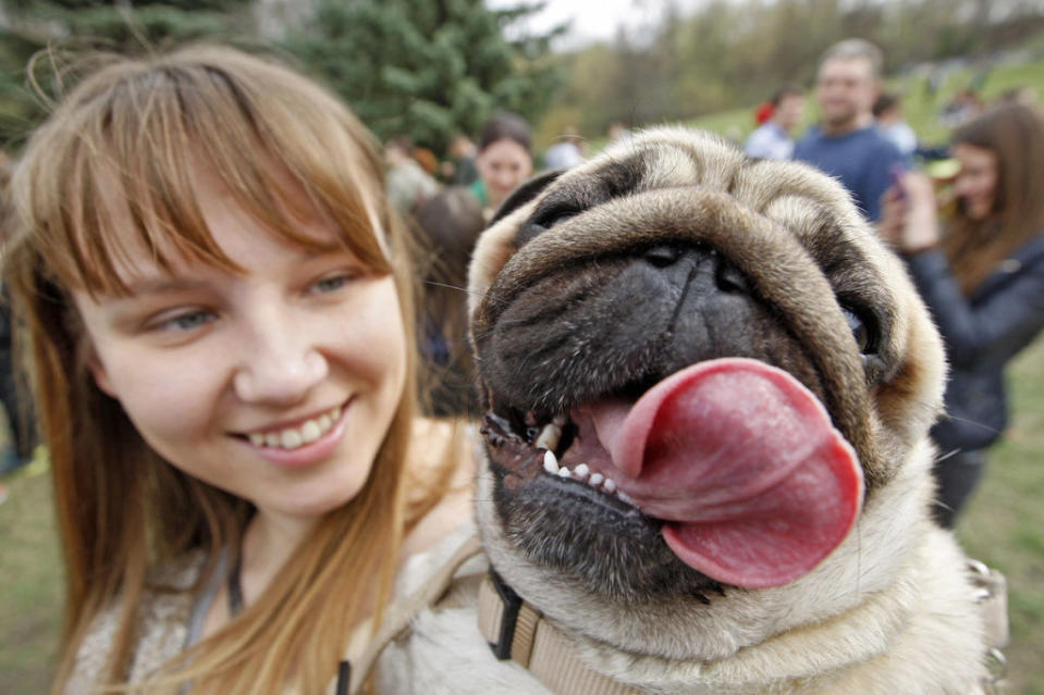 <p>Sun's out, tongue's out.</p>