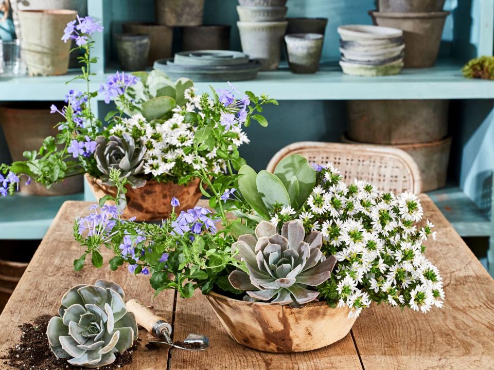 Wooden Bowl Container