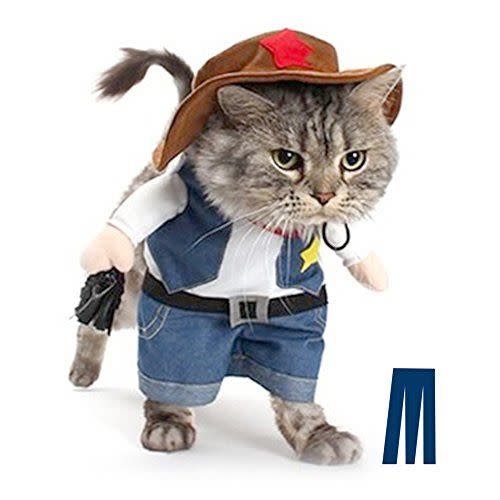 Cowboy Cat Halloween Costumes