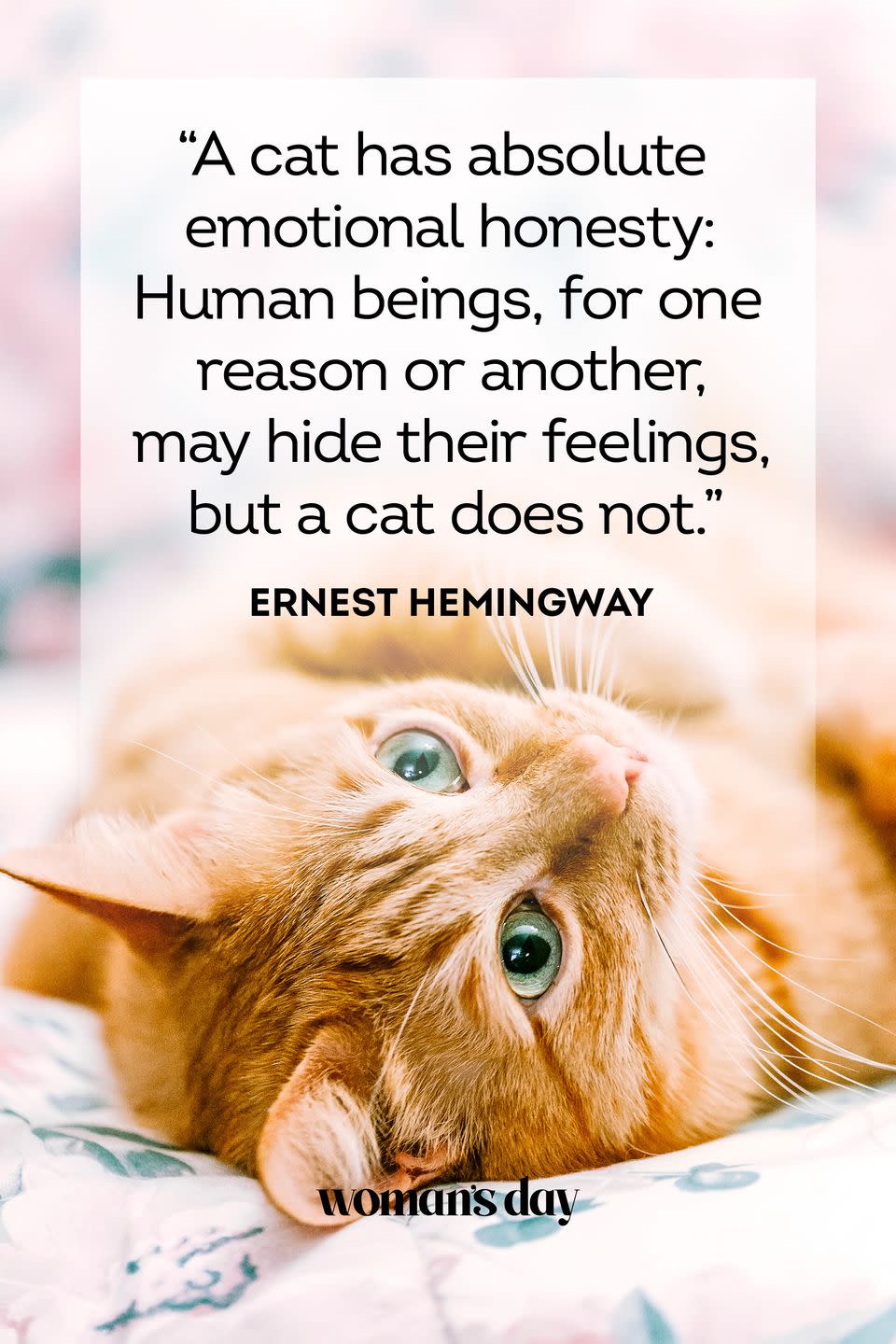 45 Adorable Cat Quotes That Will Melt Your Heart