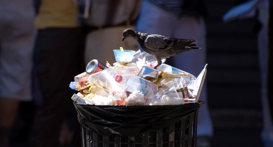 The average household in Victoria discards more than $2000 worth of food every year. Source: Getty, File