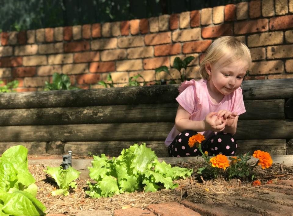 Harper Peck has become obsessed with looking after her plant ‘babies’ in the veggie patch. Source: Supplied