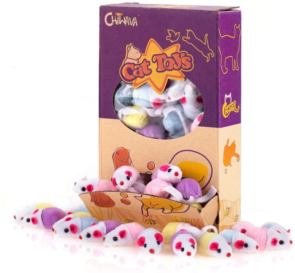 chiwava cat toy pack, best cat gifts