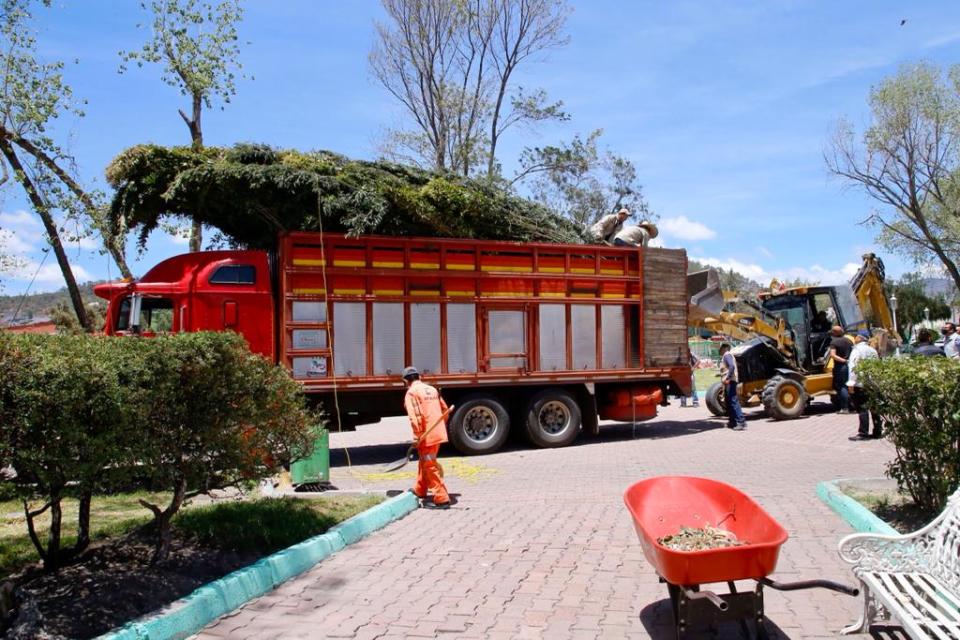 El jardín de los Hombres Ilustres será reforestado | Foto: Luis Soriano