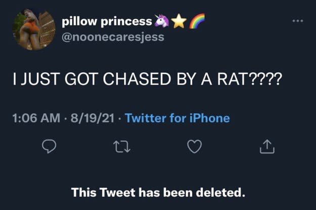 Had to get your guys opinion on this one when it came on my feed 😂 : r/RATS