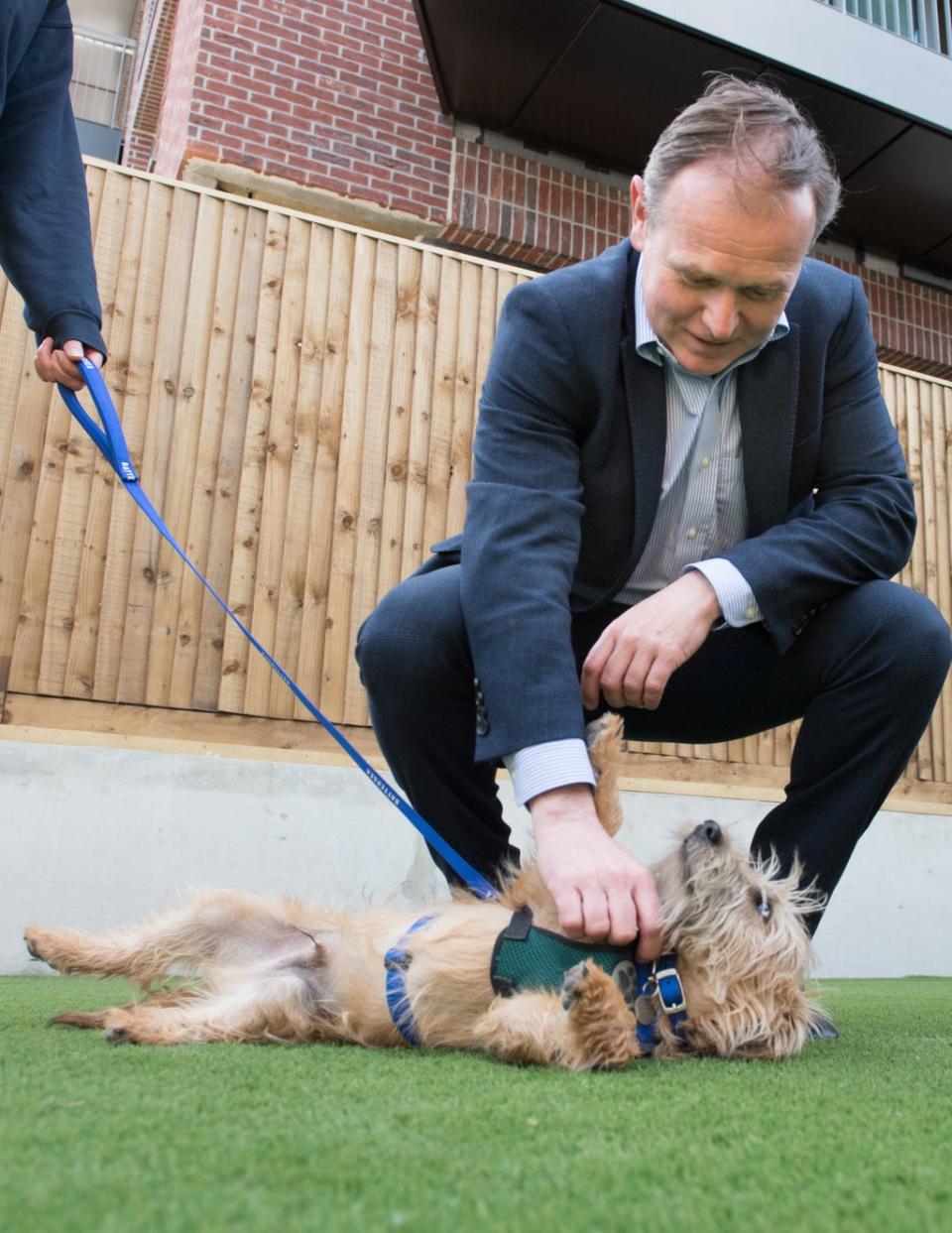 George Eustice said the number of dogs intercepted rose from 390 in 2019 to almost 1,300 in 2020 (Stefan Rousseau/PA) (PA Wire)