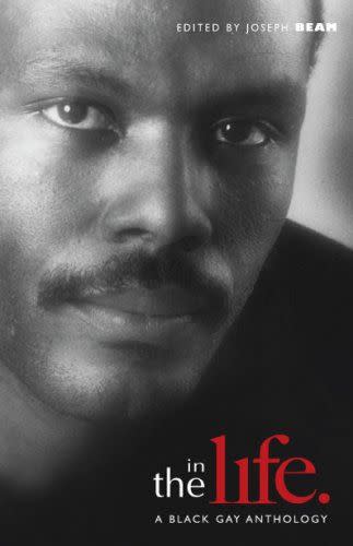 In the Life: A Black Gay Anthology