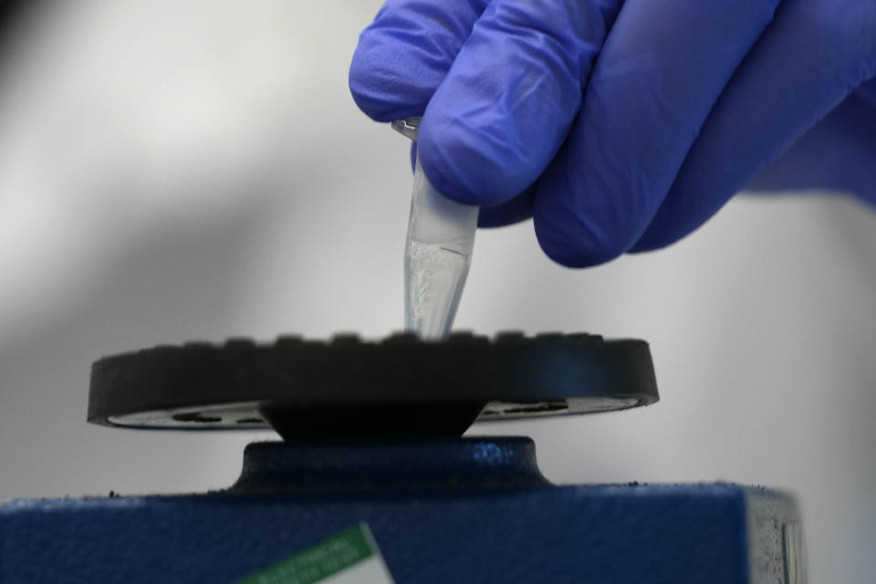 A research assistant Robert demonstrates how to prepare a sample with a shaker for sequencing at the Wellcome Sanger Institute, Genome Campus, Hinxton, Cambridgeshire, England, Friday, on Jan. 7, 2022. By sequencing as many positive cases as possible, researchers hope to identify variants of concern as quickly as possible, then track their spread to provide early warnings for health officials. (AP Photo/Frank Augstein)