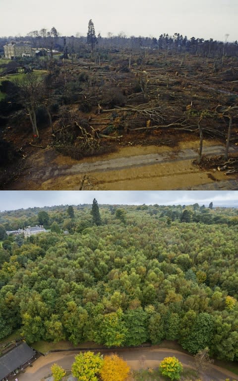 Aerial photographs of a woodland in Kent devastated during the Great Storm - Credit: Mike Howarth