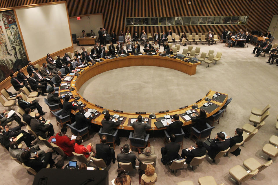 UN security council