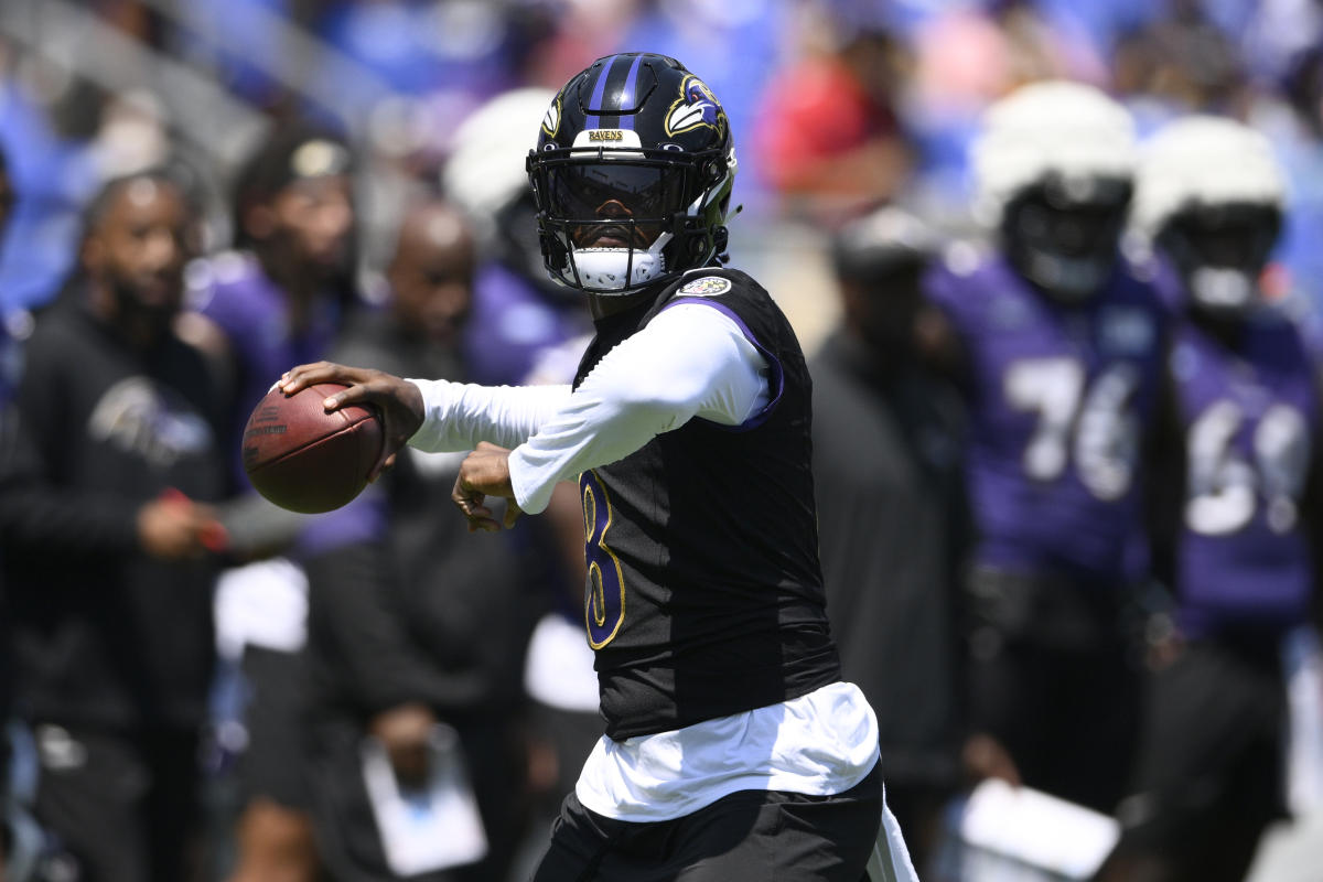 DeSean Jackson Looking To Provide 'Spark' For Ravens With 'Big