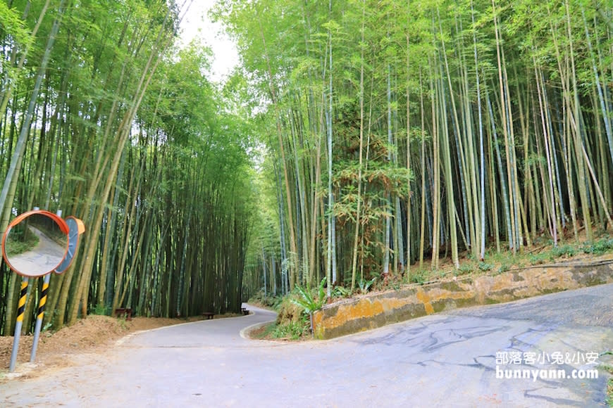 嘉義｜瑞里綠色隧道