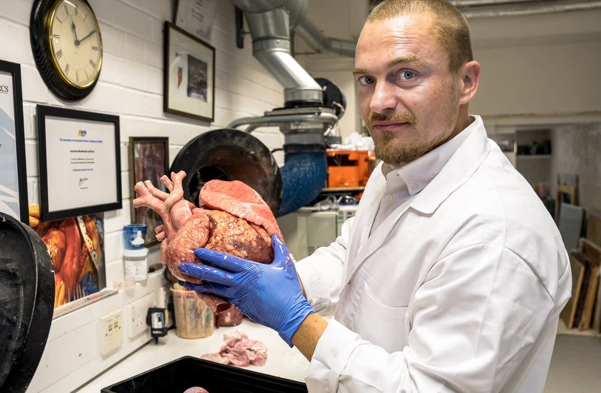 Nottingham Trent University of senior research fellow Richard Arm with a model heart and lung created by researchers to help train transplant surgeons (Nottingham Trent University)
